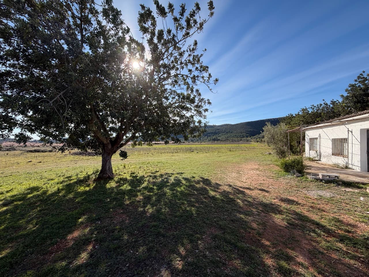 Jardín y parcela de finca en los alrededores de Valencia